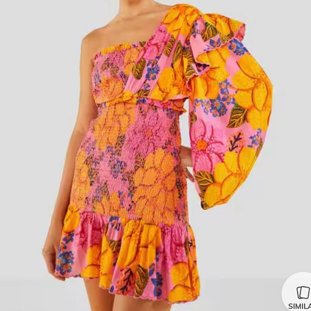 Farm Rio One-Sleeve Smocked Floral-Print Cotton Viole Mini Dress